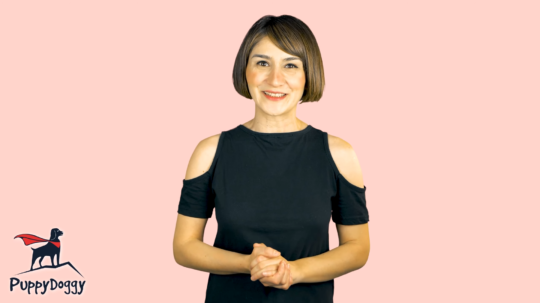 tanitimbudur-puppydoggy_1